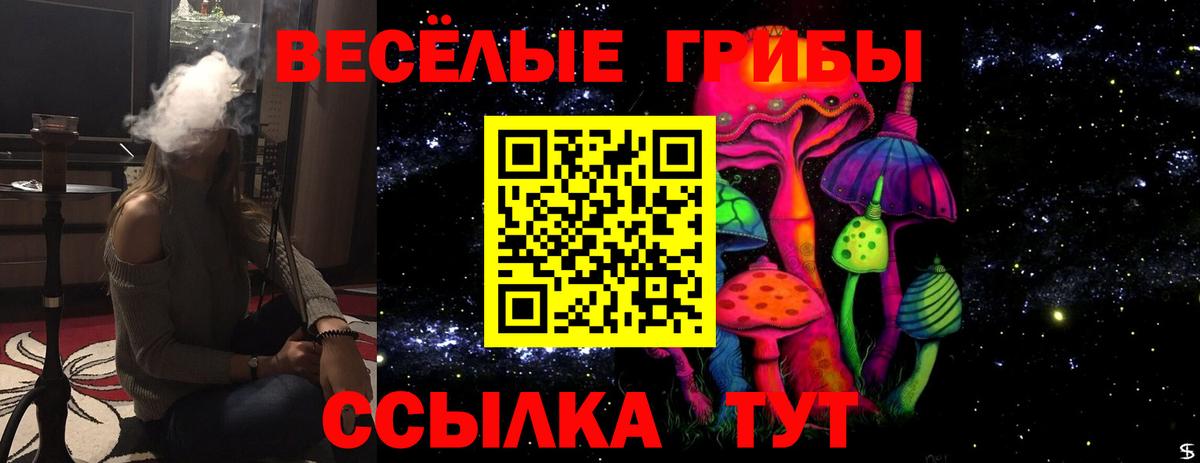 Псилоцибиновые грибы GOLDEN TEACHER Азов