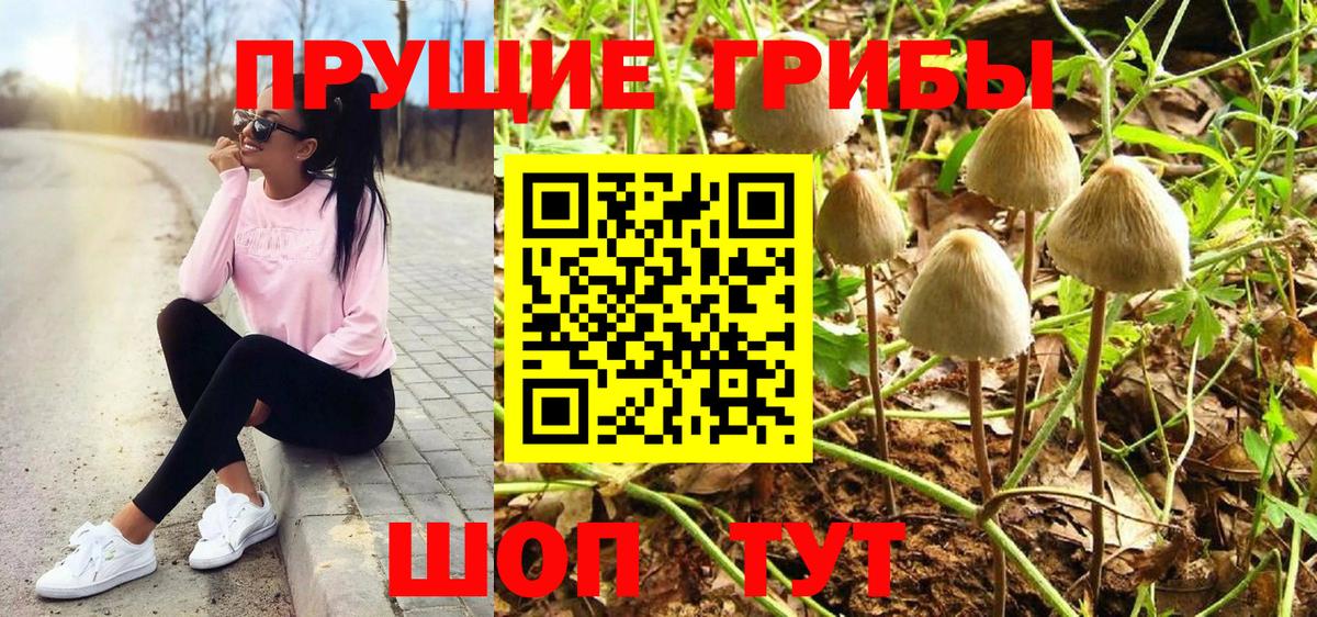 Псилоцибиновые грибы мицелий  Вход с VPN  Галлюциногенные грибы Magic Shrooms  Азов 